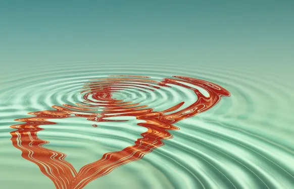 Casino Barbados Bingo Support